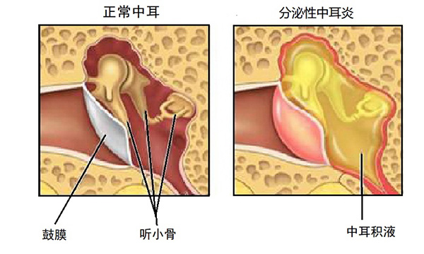 未標(biāo)題-8.jpg