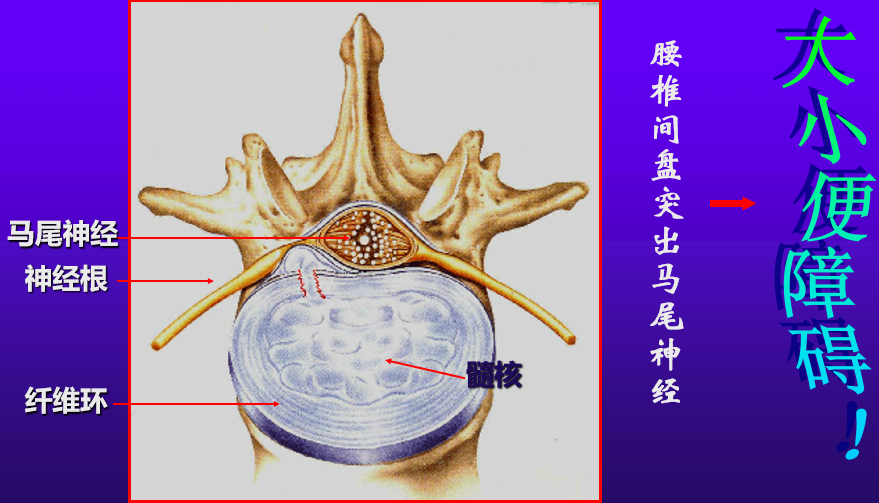 圖片 1